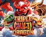Triple Multi Dragon